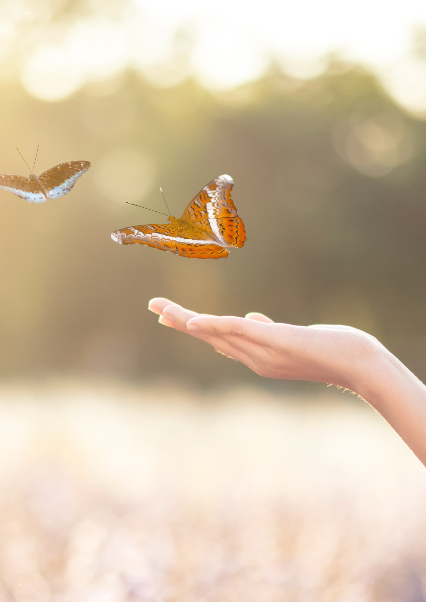 les seances adulte et seniors